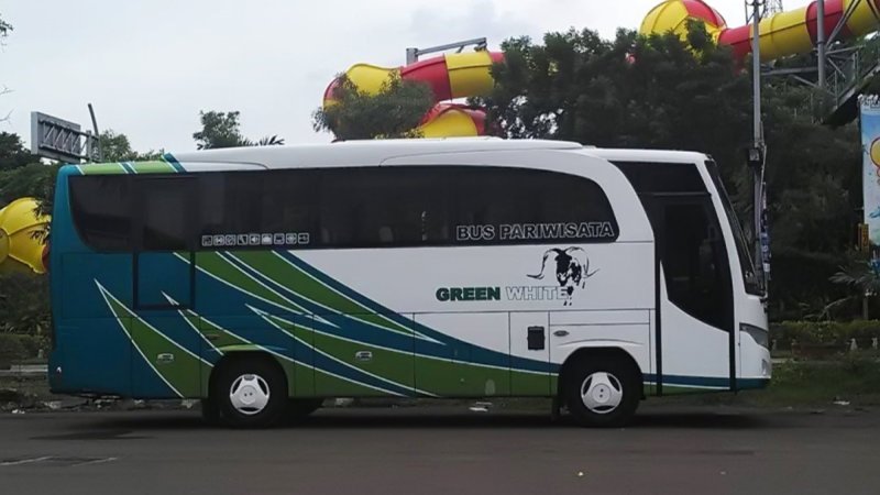 saturental – foto medium bus pariwisata green white 31 seats b