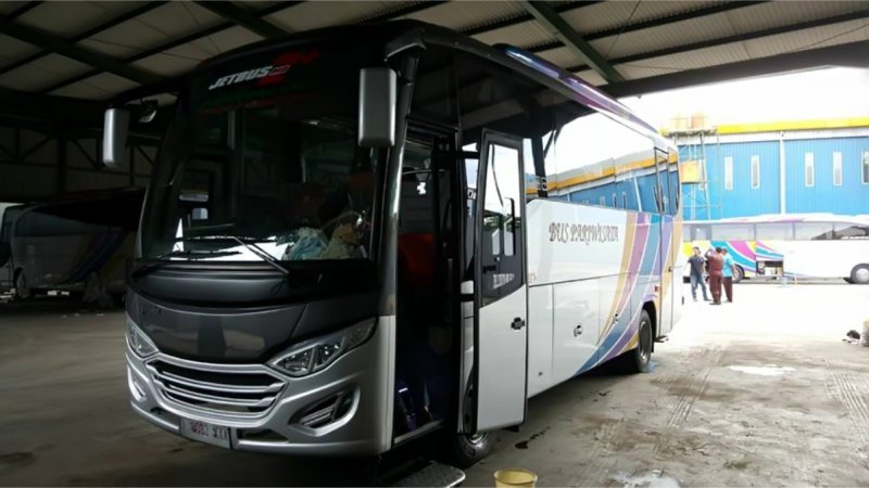 saturental – foto medium bus pariwisata jackal holidays 31s 33s 35 seats a