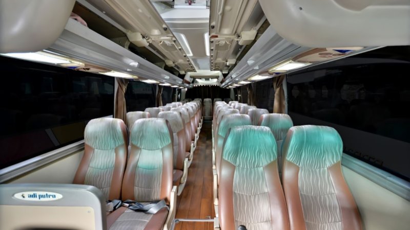 saturental – foto medium bus pariwisata jackal holidays interior dalam 31s 33s 35 seats a