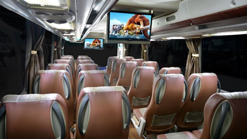 saturental – foto medium bus pariwisata jackal holidays interior dalam 31s 33s 35 seats b