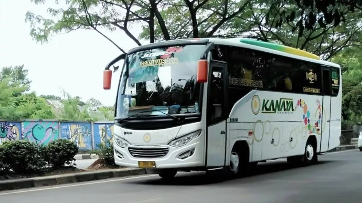saturental – foto medium bus pariwisata kanaya 29s 31 seats a