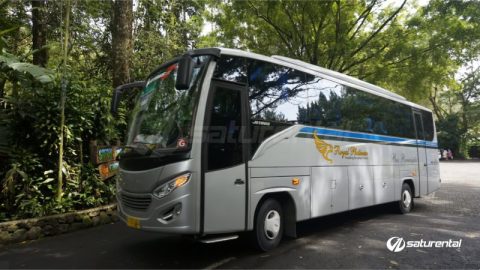 Royal Jaya: Mengarungi Nusantara dengan Sentuhan Kemewahan dan Kenyamanan