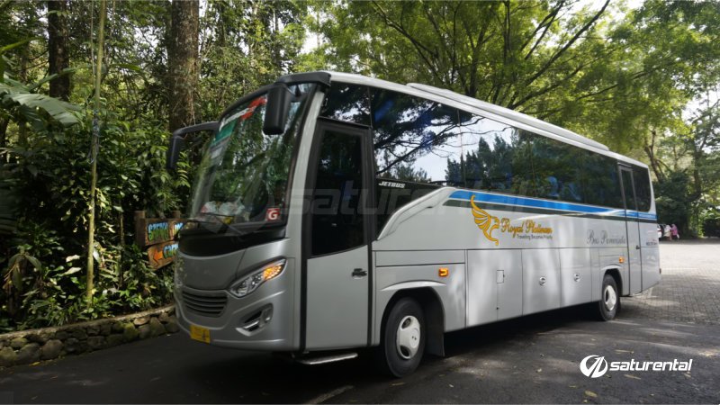 saturental – foto medium bus pariwisata royal platinum 29 seats b