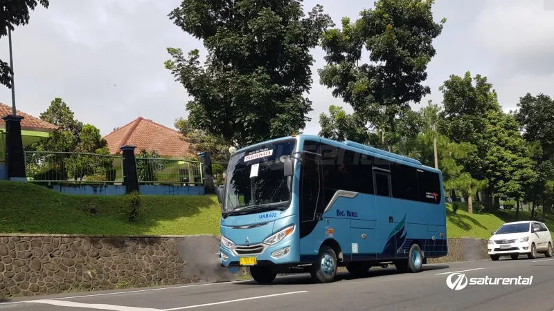 foto bus pariwisata big bird medium 25 seats o