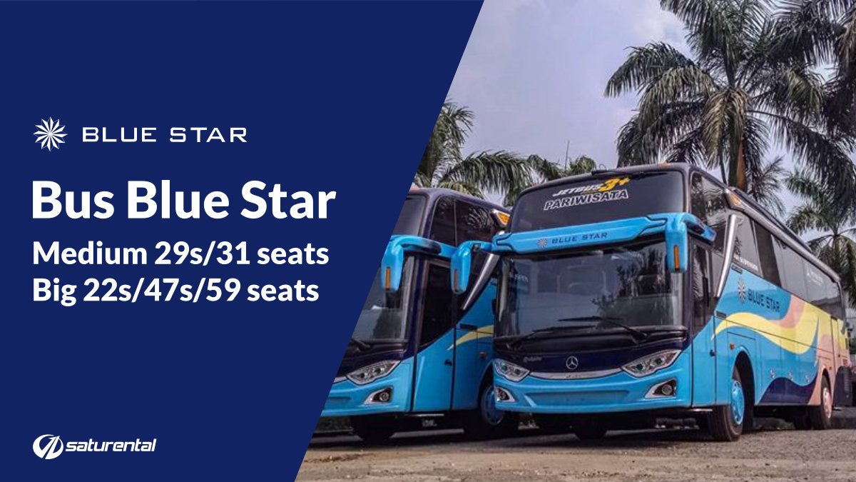 foto bus pariwisata blue star c