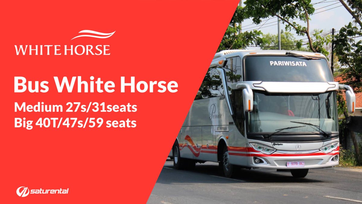 Info Lengkap Foto Harga Sewa Bus Pariwisata White Horse - Saturental Info Lengkap Foto Harga Sewa Bus Pariwisata White Horse - Saturental