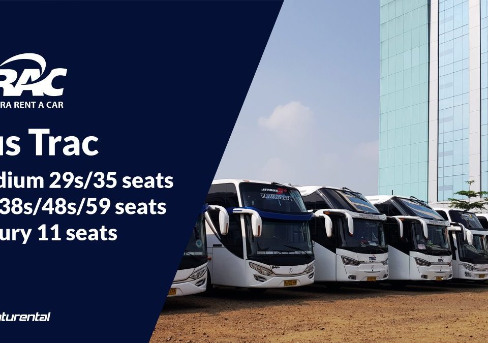 foto bus trac
