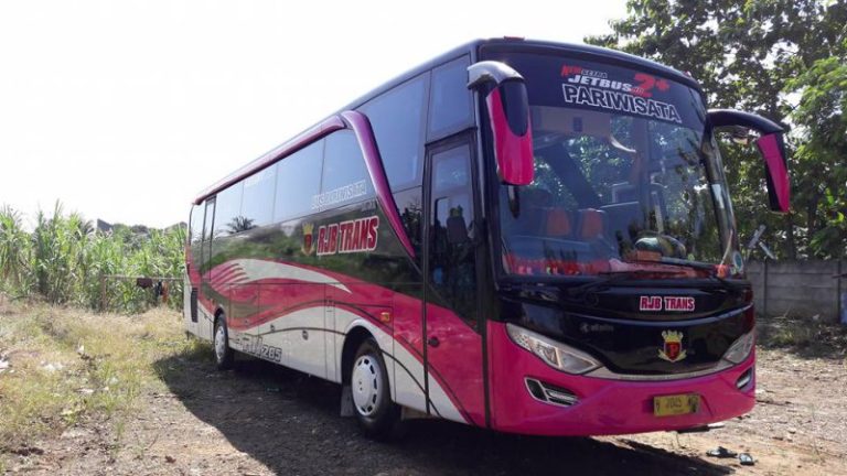 Harga Bus Pariwisata Tahun 2016: Sebuah Kilas Balik dan Analisis Pasar