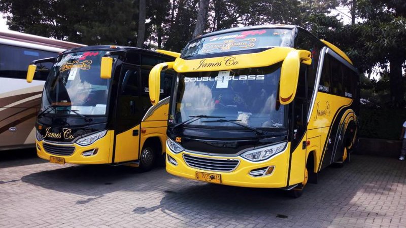saturental – foto medium bus pariwisata jamesco 31s 33 seats a