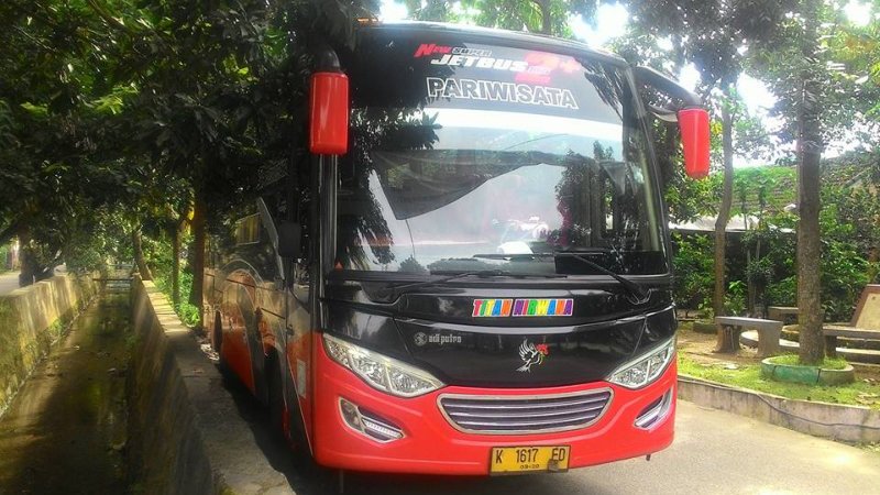 saturental – foto medium bus pariwisata titan nirwana 31 seats c