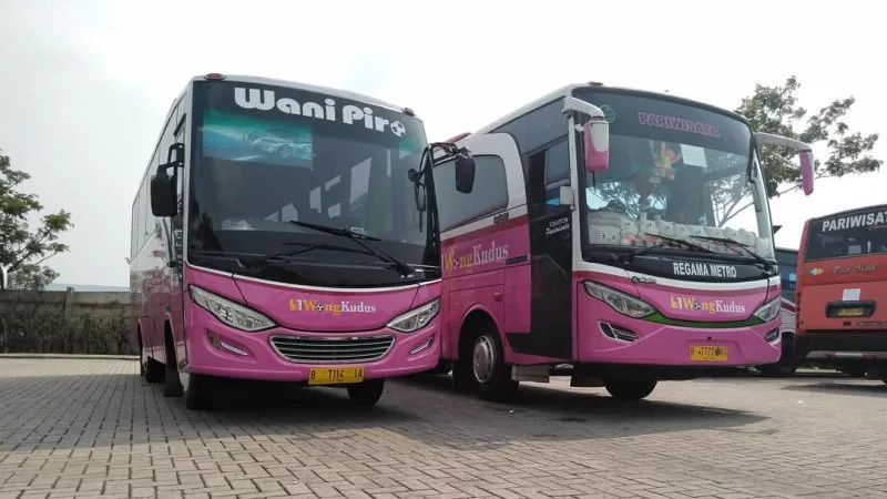 saturental – foto medium bus pariwisata wong kudus 31 seats aa