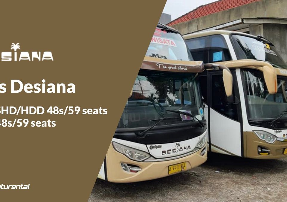 saturental foto bus pariwisata desiana