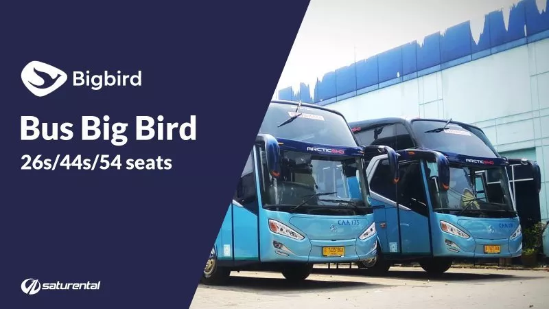 saturental – foto bus pariwisata big bird shd hdd a800