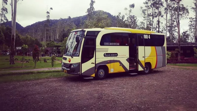 saturental – foto medium bus pariwisata gagak rimang 31 seats a
