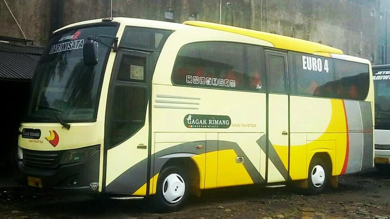 saturental – foto medium bus pariwisata gagak rimang 31 seats b