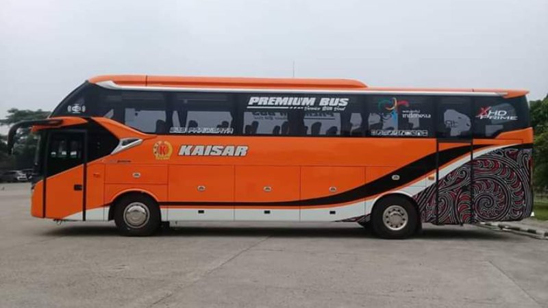 saturental – foto big bus pariwisata kaisar shd hdd terbaru 59 seats c