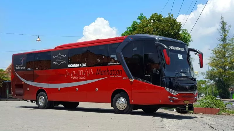 saturental – foto big bus pariwisata manhattan 47 58 seats new b