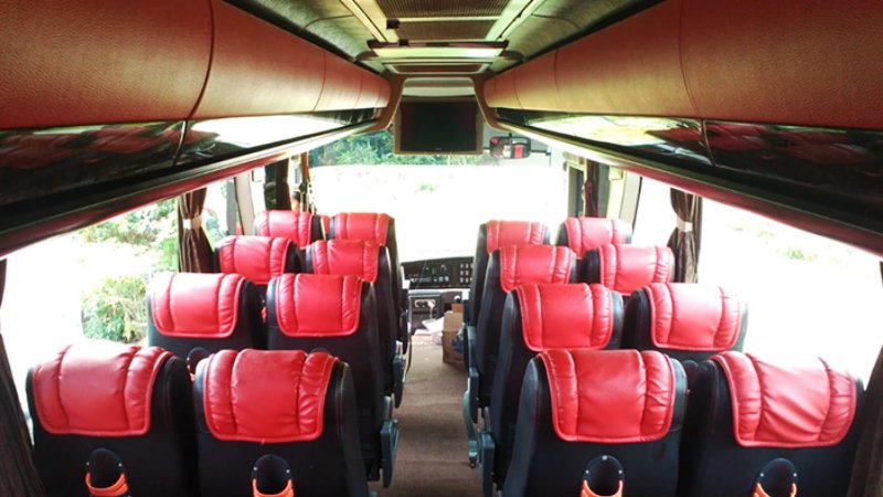 saturental – foto medium bus pariwisata manhattan interior dalam 29 31 seats new a