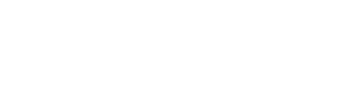 bigbird logo putih