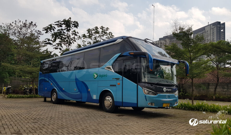 saturental foto big bus pariwisata big bird shd hdd terbaru 37 44 54 seats b