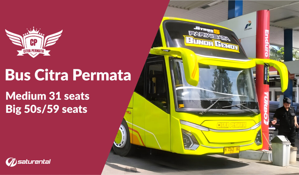 saturental foto bus pariwisata citra permata big bus shd hdd terbaru jetbus 5 50s 59 seats a
