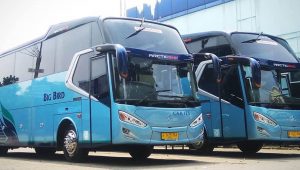 Bus Pariwisata Big Bird