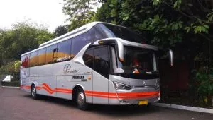 Bus Pariwisata White Horse