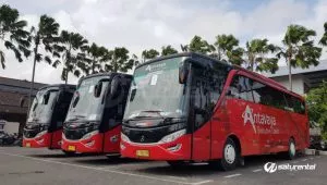 Bus Pariwisata Antavaya