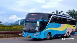 Bus Pariwisata Blue Star